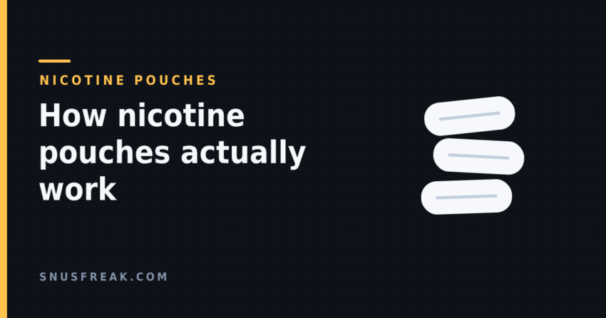 Dark title card reading How nicotine pouches actually work beside three stacked white pouches
