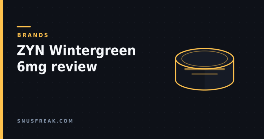 Dark title card with an amber line drawing of a generic unbranded pouch can, headline reading ZYN Wintergreen 6mg review