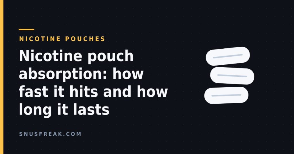 Dark graphic with three stacked white pouch shapes beside the headline 'Nicotine pouch absorption: how fast it hits and how long it lasts'.
